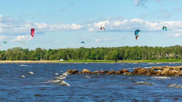 Парк Дубки в Сестрорецке