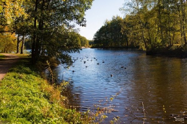 Дубки Сестрорецк