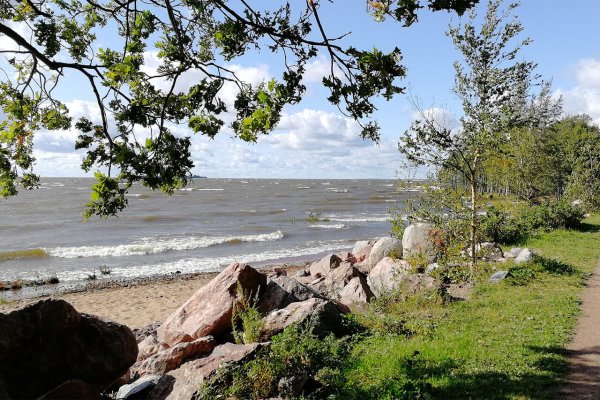 Сестрорецк курорт финский залив