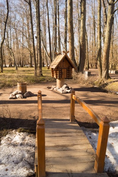 Парк Дубковский Сестрорецк