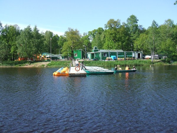 Дубки Сестрорецк