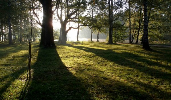 Сестрорецкий парк