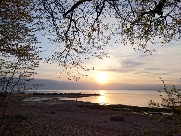 Парк Дубки в Сестрорецке