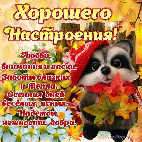Хорошего дня и настроения осень
