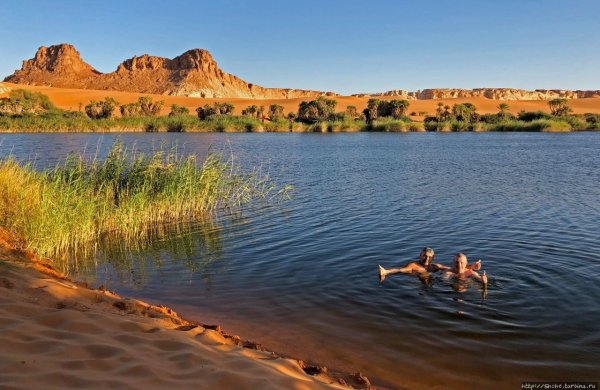 Камерун озеро Чад