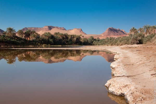 Озеро Чад в Африке