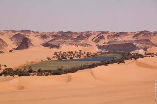 Унианга серир