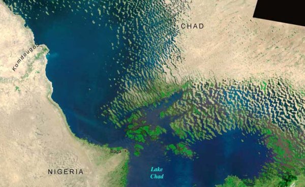 Озеро Чад сейчас