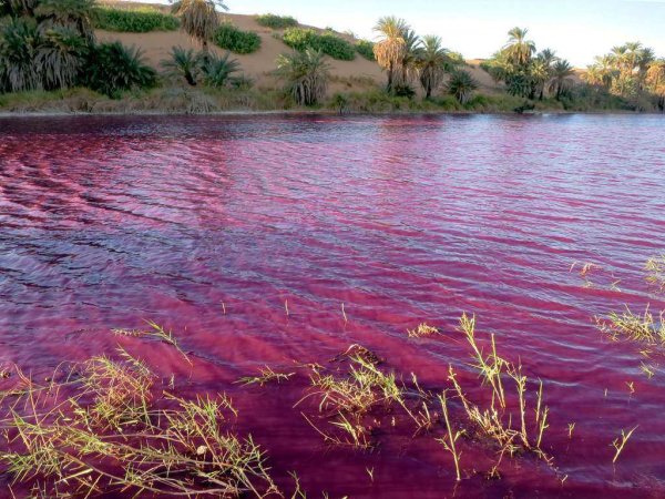 Озеро ред Лейк