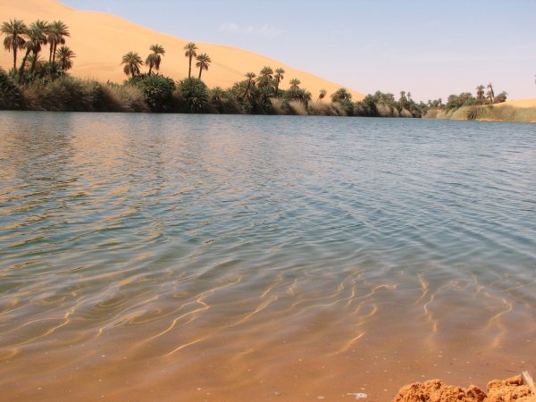 Оазис куфра Ливия