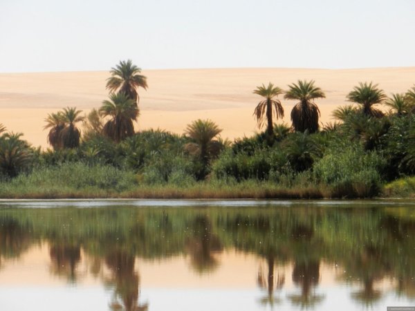 Озеро Нджамена