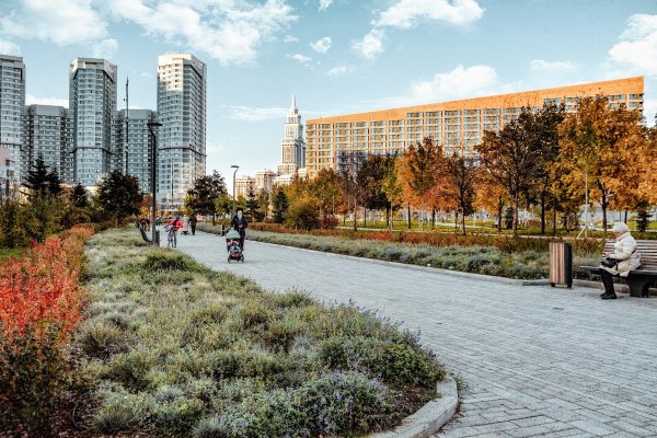 ПКИО Ходынское поле