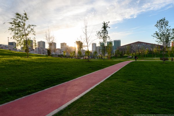 Парк Ходынское поле Беговая дорожка
