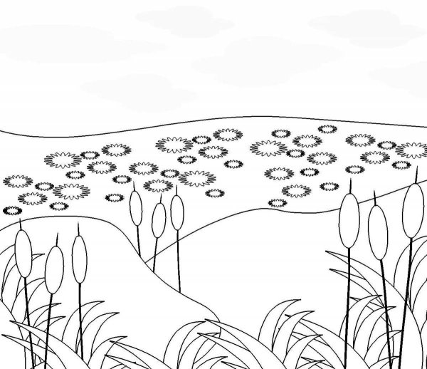 Пруд раскраска