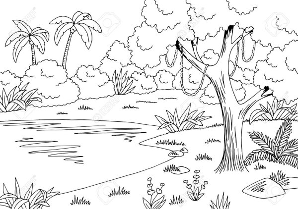 Раскраска джунгли с озером