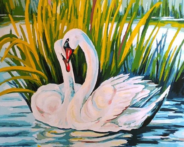 Лебедь рисунок
