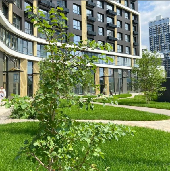 Клевер парк ЕКБ