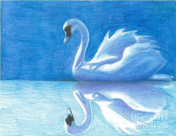 Лебедь рисунок