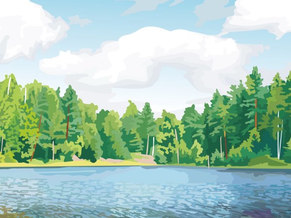 Рисунки природы