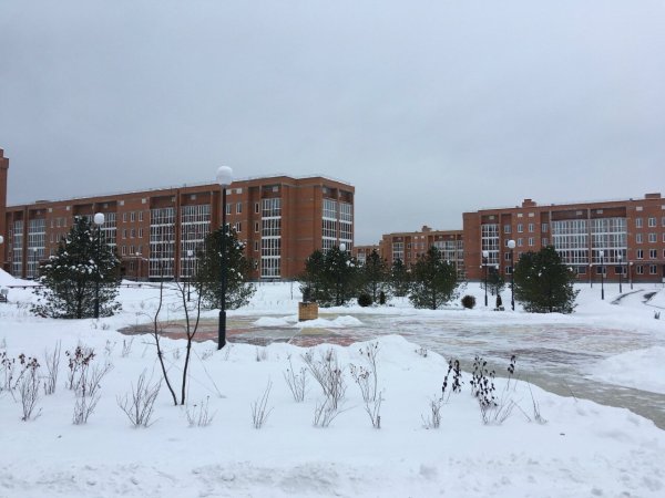 Северный парк Томск зима