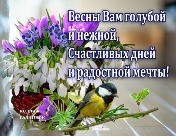 Весеннего настроения и хорошего дня