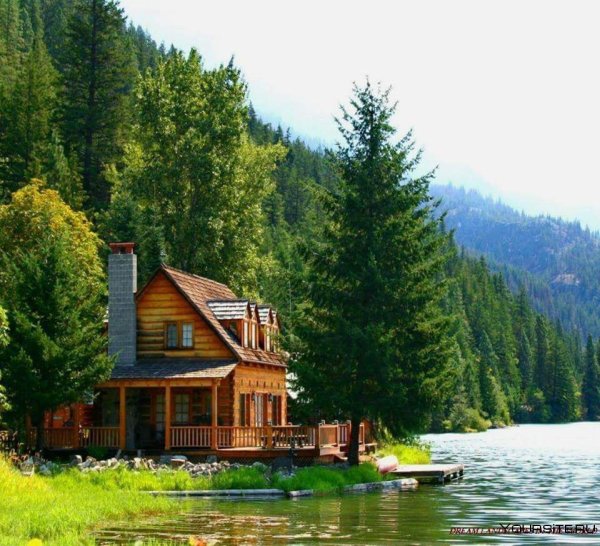 Лес горы штат Монтана домик у озера