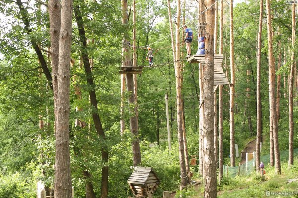 Верёвочный городок Липецкая область Задонский район