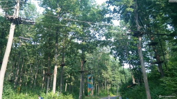 Форест парк Задонск