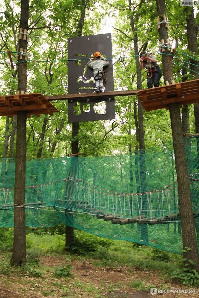 Форест парк Липецкая область