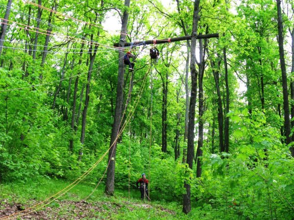 Форест парк Липецк