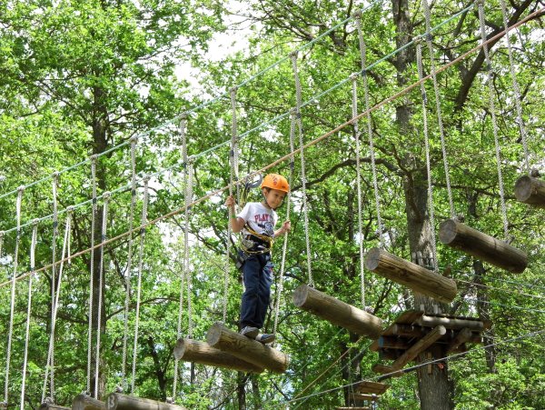 Форест парк веревочный городок