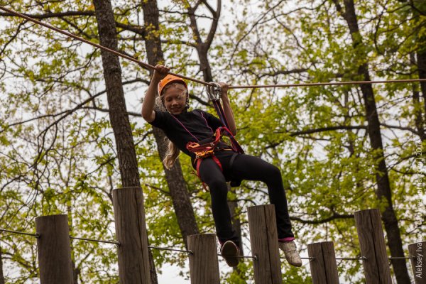 Форест парк Брэдфорд