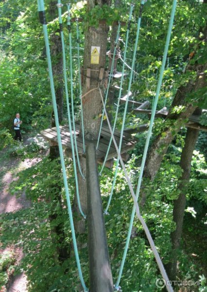 Форест парк Задонск