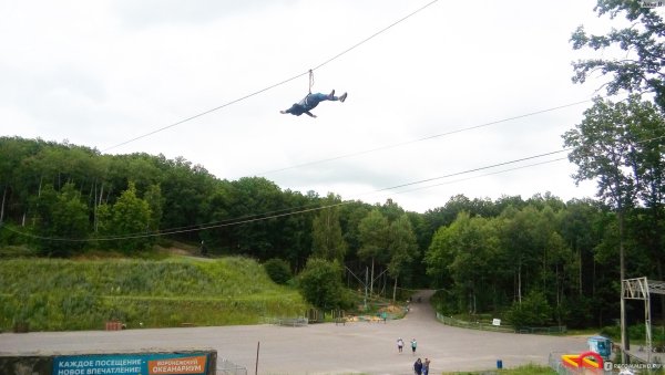 Форест парк Липецкая область