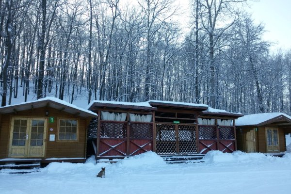 Форест парк Липецк