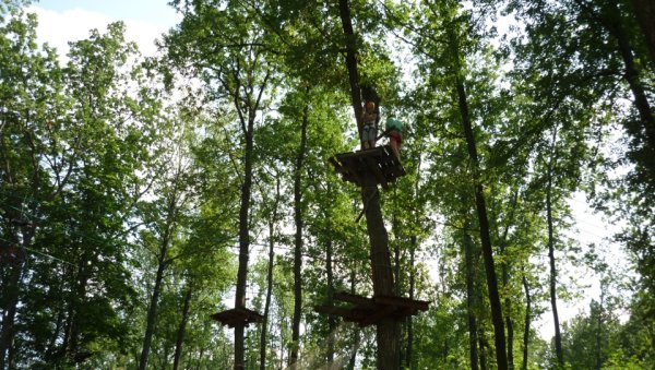 Форест парк Задонск