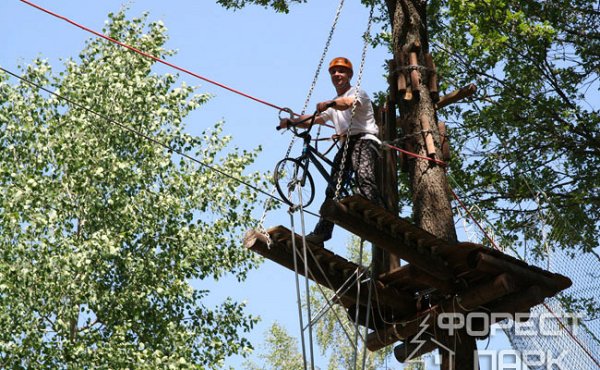 Форест парк веревочный городок