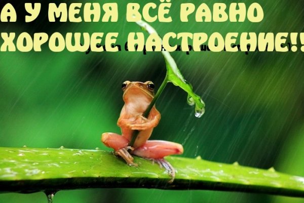 Позитив надпись