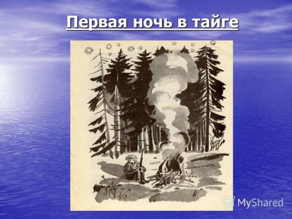 Васюткино озеро