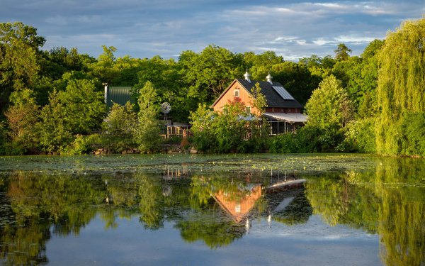 Домик у пруда
