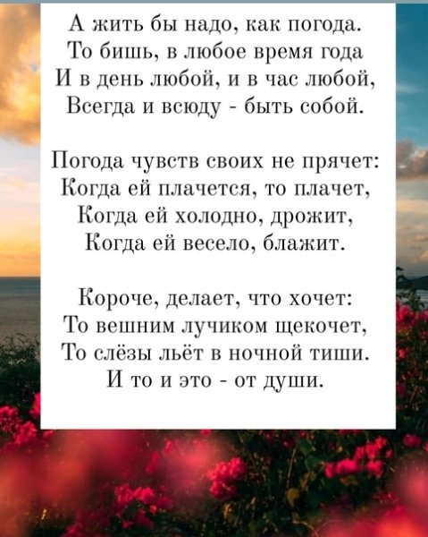 Вся наша жизнь сплошной прогноз погоды то солнечно то пасмурно