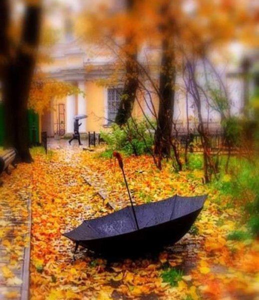 Осенние пейзажи Лариса Миллер