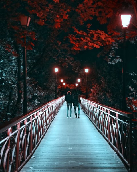 Красивый парк вечером