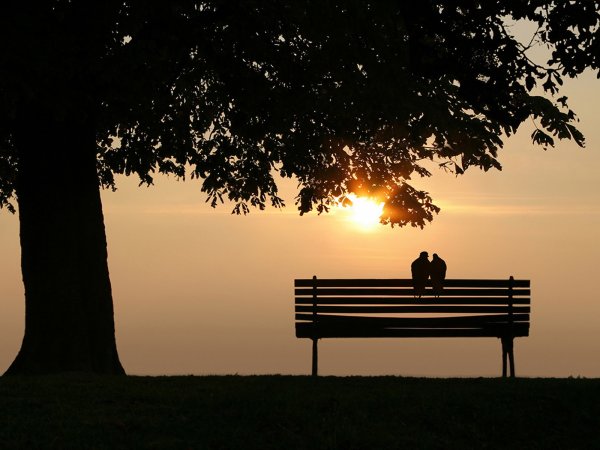 Одинокая скамейка