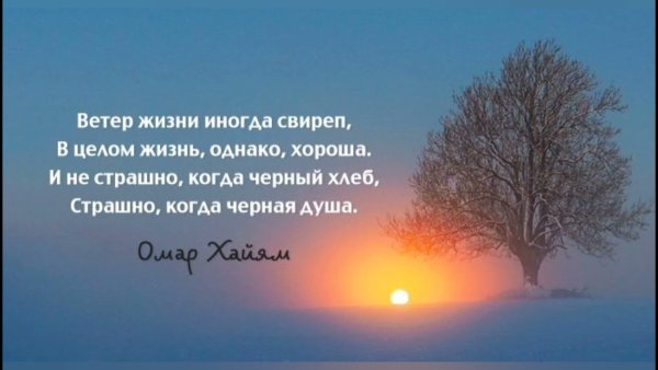 Стихи со смыслом Мудрые о жизни