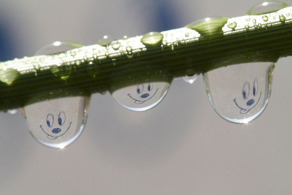 Весенний оптимизм