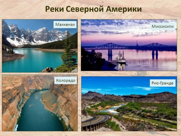 Рэреки Северной Америки
