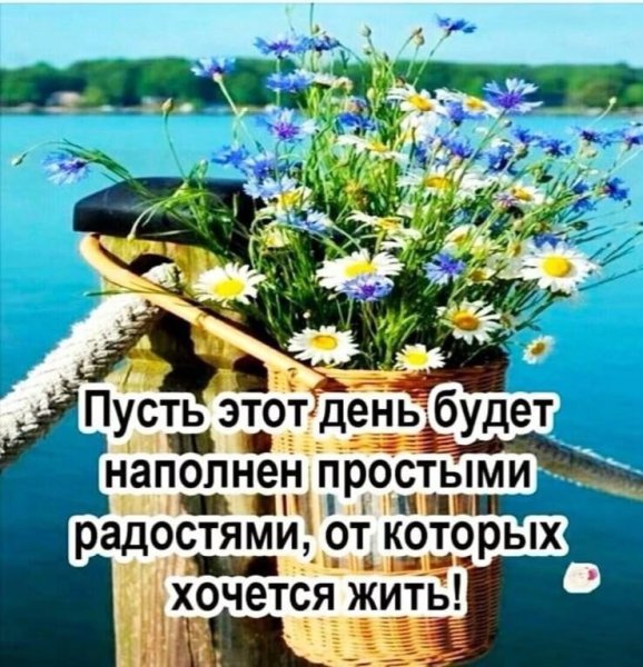 Добрые пожелания на каждый день