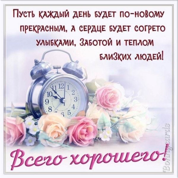 Теплые поздравления с добрым утром