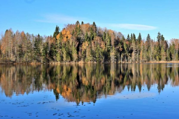 Валдайский заповедник